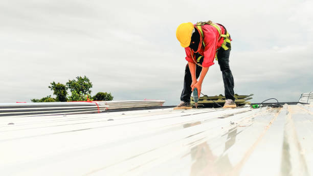 4 Ply Roofing in Arden Hills, MN